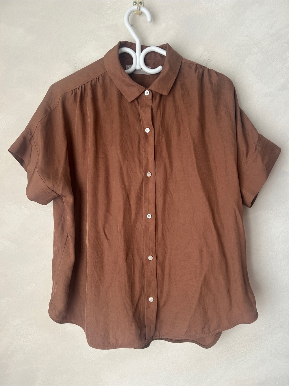 Everlane boxy square blouse button-down Japanese GoWeave triacetate sz 8 brown